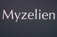 Myzelien_Ausstellung