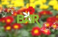 Blumen Bair Gartentipp – Muttertag