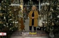 Sigrid Canal führt uns durch den Weihnachtsmarkt beim Canal